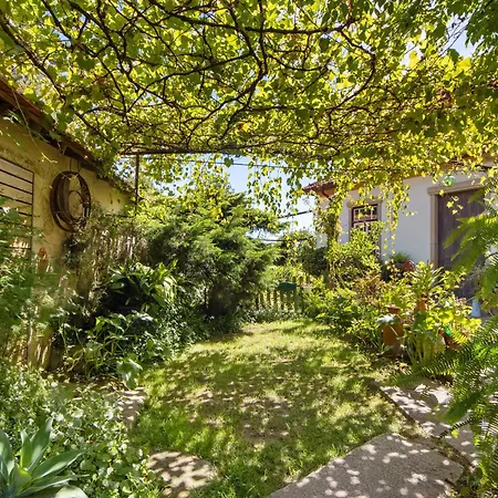 بيت للعطل Casa S Martinho