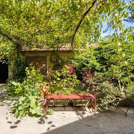 Casa S Martinho בית נופש אוליביירה דה אזמיס