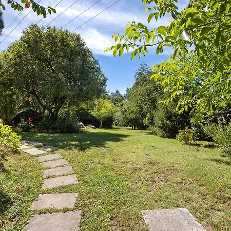 Casa S Martinho בית נופש אוליביירה דה אזמיס