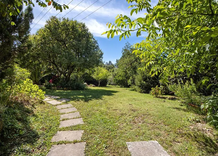 Casa S Martinho Oliveira de Azemeis