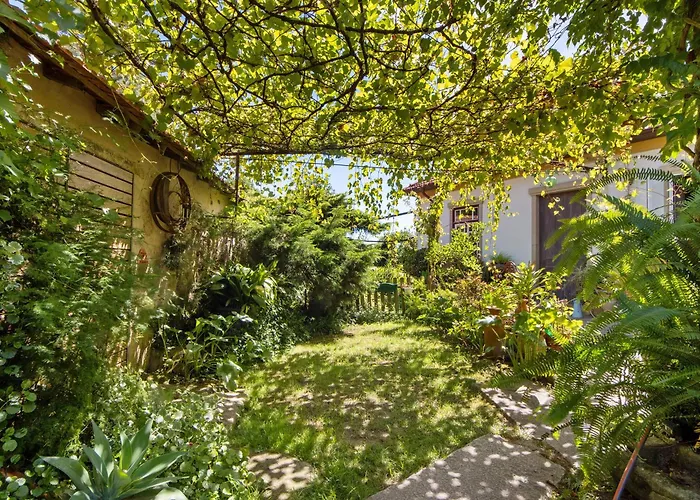 Prázdninový dům Casa S Martinho